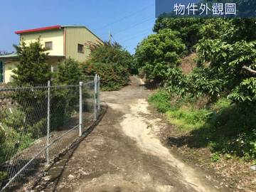 東山崎子頭超值5分半農地