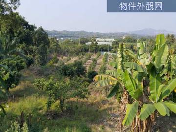 玉井悠閒度假芭樂園