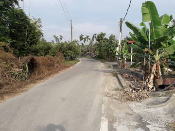 AF395 新海豐農地