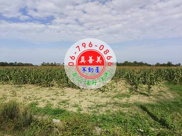 #4703 西港方正農地