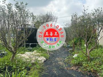 #4526 西港有自來水、農電農地